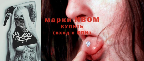 МДПВ Михайлов