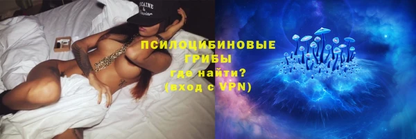 сатива Хадыженск