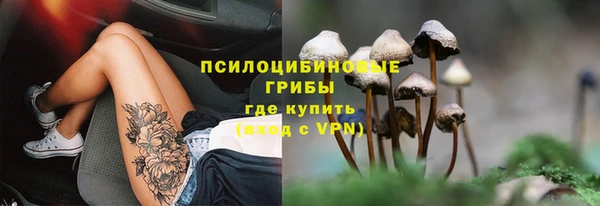 МДПВ Михайлов