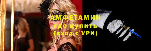 МДПВ Михайлов