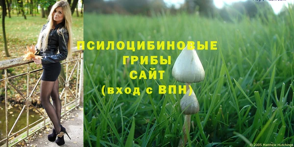 MDMA Premium VHQ Михайловск