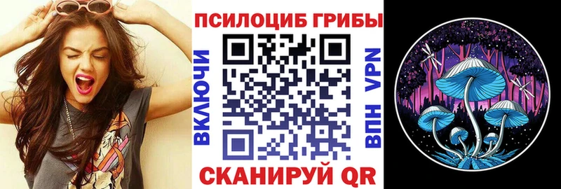 купить Щёлково Псилоцибиновые грибы Magic Shrooms